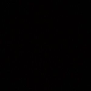 Meet your Posher, Jaden